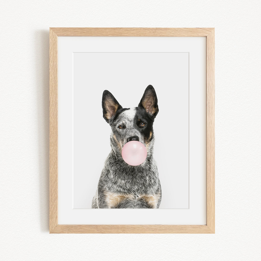 A black and white dog is blowing a bubble with a pink bubble gum bubble.