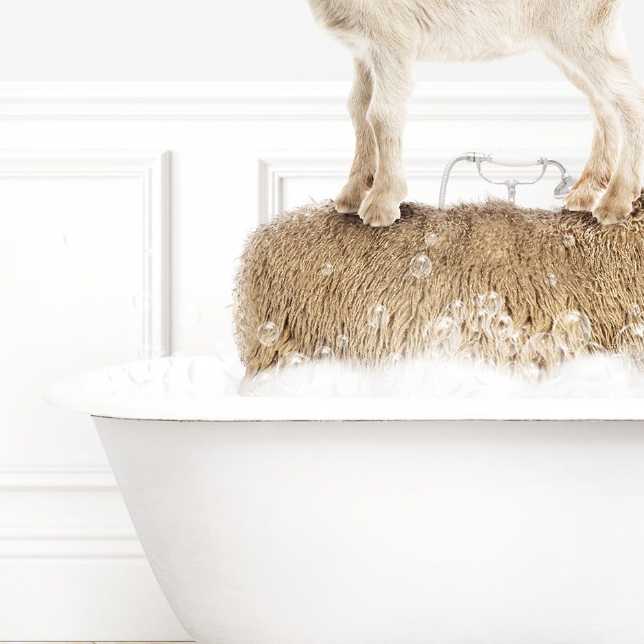 a goat standing on top of a bath tub