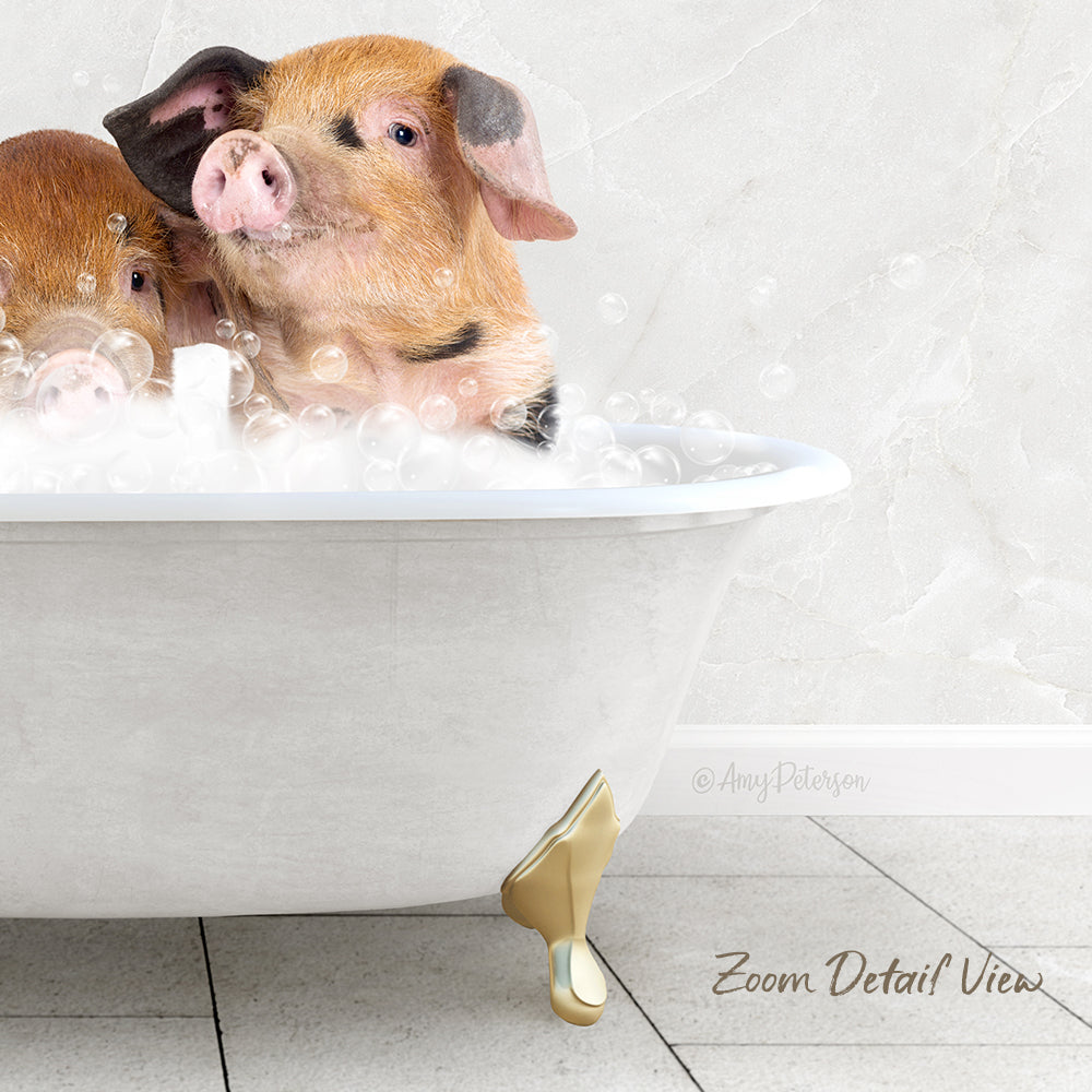 A white claw-foot bathtub filled with bubbles, with two adorable pigs sitting and enjoying the bath together.