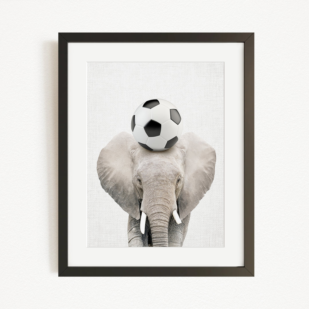 A framed image of an elephant standing on its trunk, with a soccer ball resting on its head.