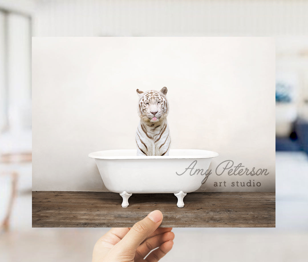 a white tiger sitting in a bath tub