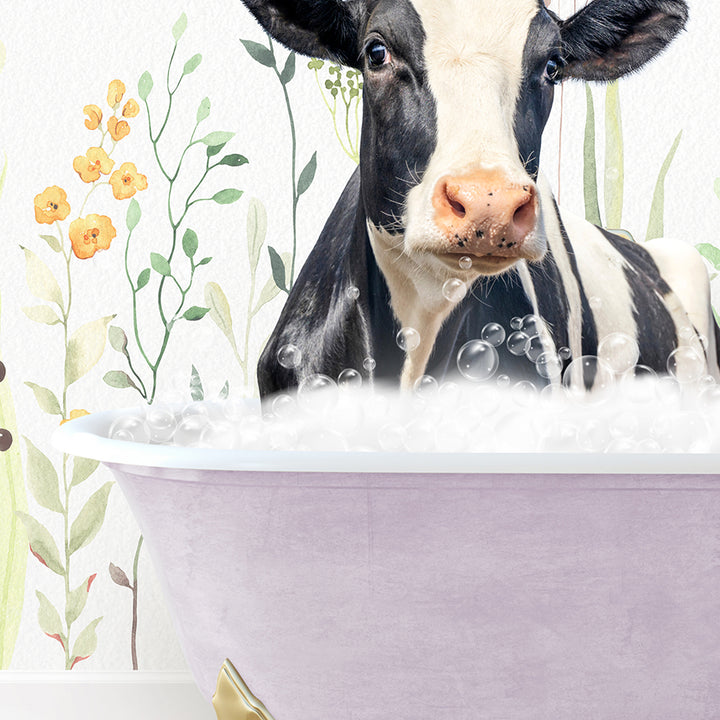 a black and white cow sitting in a bath tub