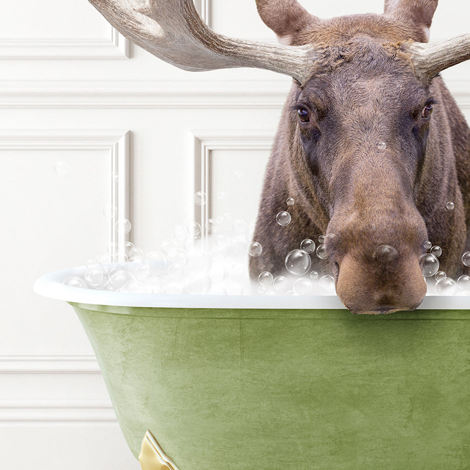 a moose is taking a bath in a green bowl