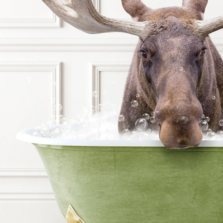 a moose is taking a bath in a green bowl