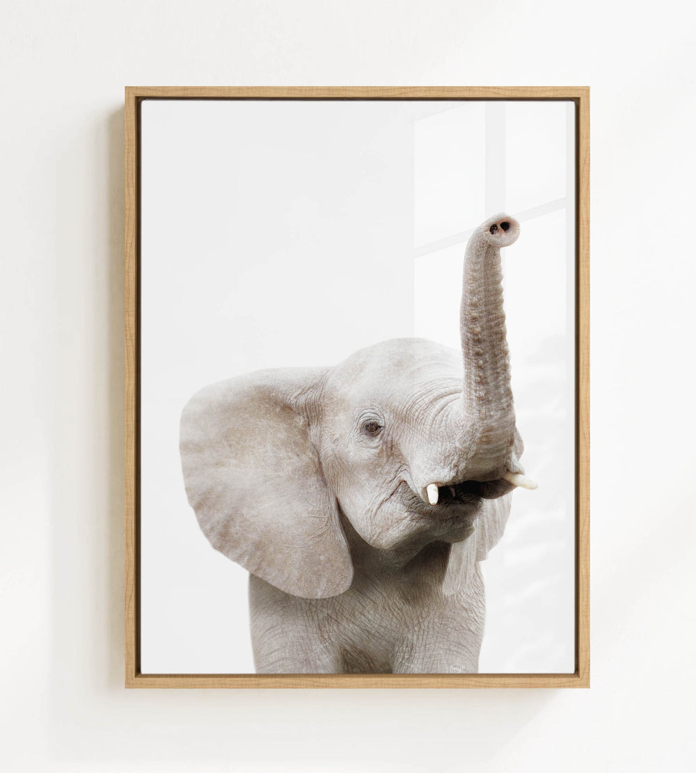A framed photograph of a young elephant with its trunk raised, looking directly at the camera.