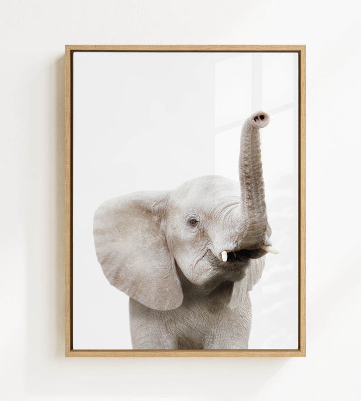 A framed photograph of a young elephant with its trunk raised, looking directly at the camera.