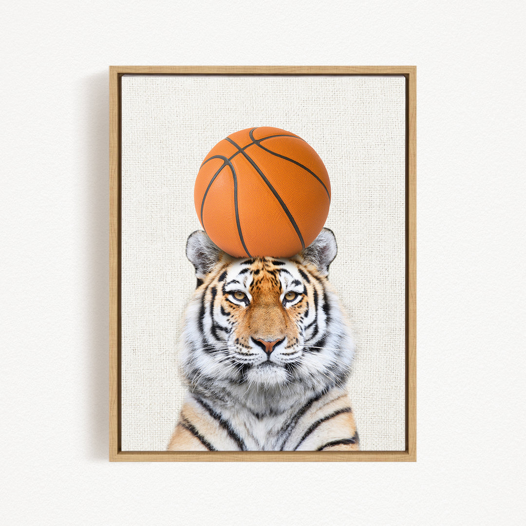 A tiger is sitting on a basketball, with the basketball positioned on its head.