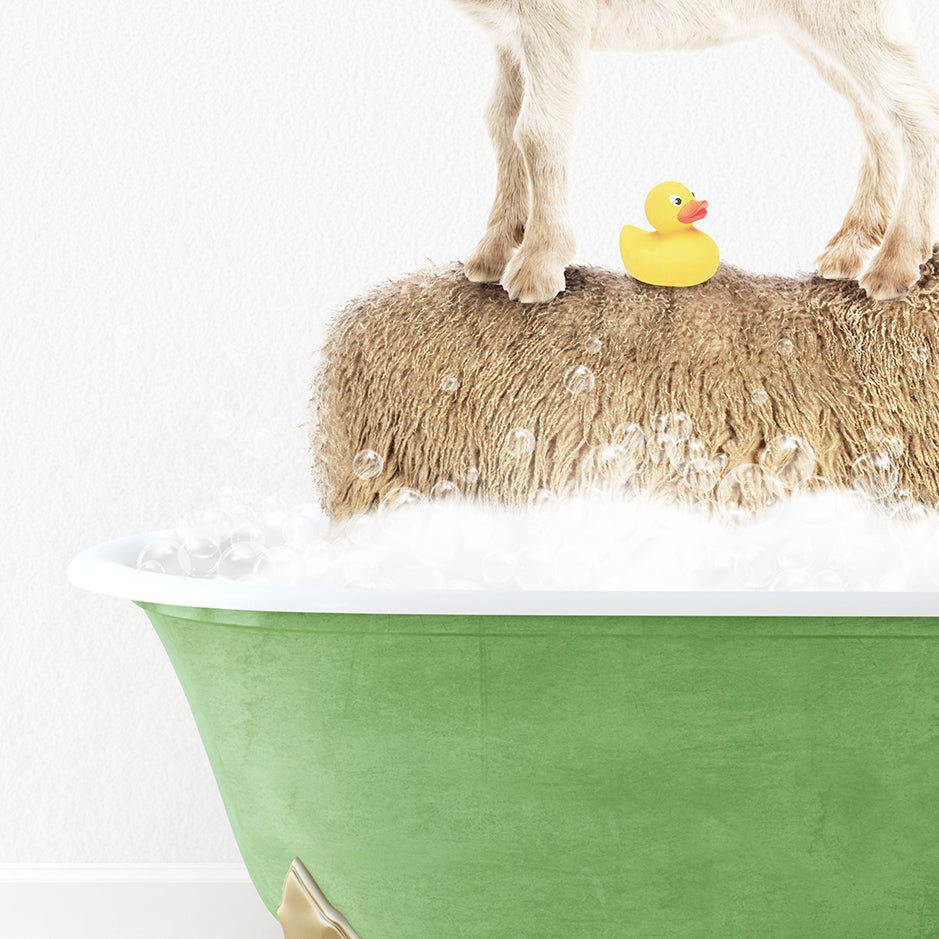 a dog standing on top of a bath tub with a rubber duck