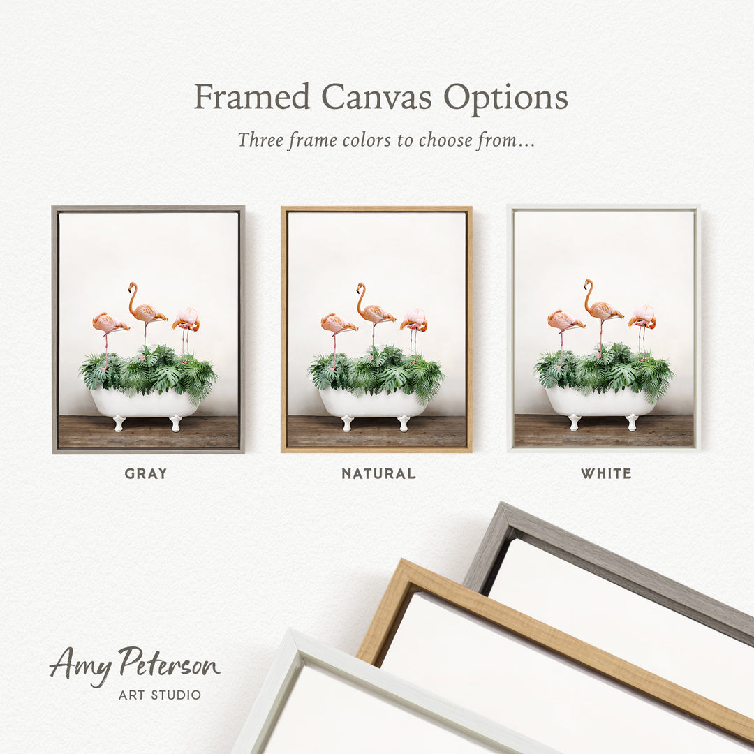three framed canvas options, each featuring a different color and frame style. The options include a gray frame, a natural frame, and a white frame. The text above the images reads " Framed Canvas Options" and "Three frame colors to choose from...". The text below the images reads "GRY", "NATURAL", and "WHITE". The artist's name, " Amy Peterson ART STUDIO", is also present.