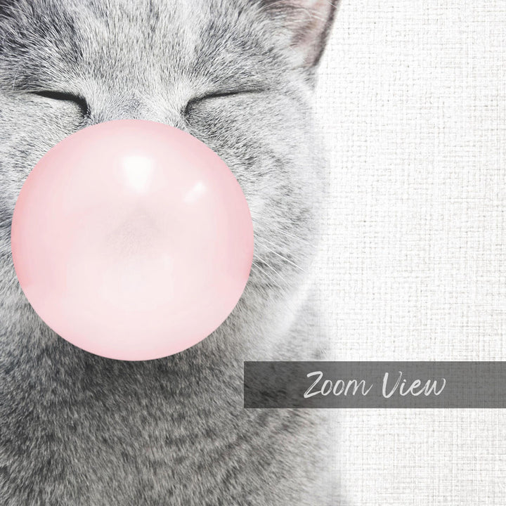 A gray cat is blowing a pink bubble with its mouth, with the word "Zoom View" written below the image.