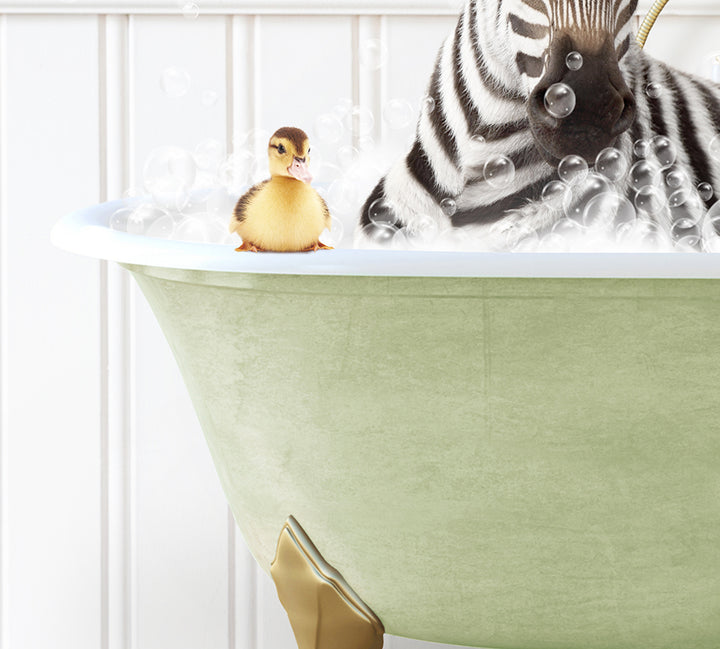 a zebra in a bathtub with a rubber duck