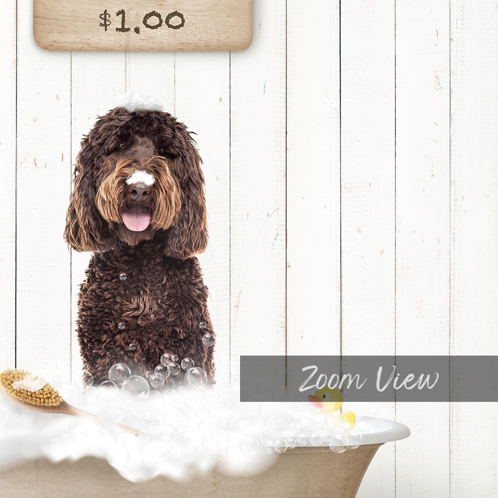 A brown curly-haired dog sitting in a bathtub filled with bubbles, with a sign above the dog indicating the price of $1.00.