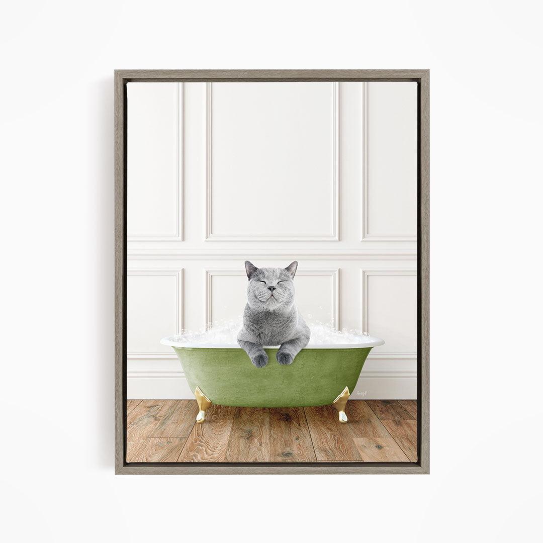 A gray cat sitting in a green bathtub filled with bubbles, with a white wall and wooden floor in the background.