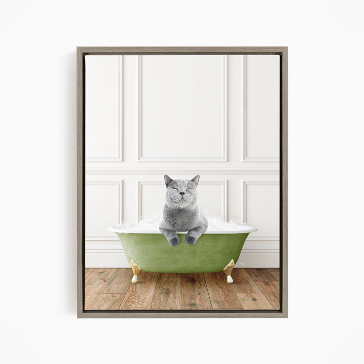 A gray cat sitting in a green bathtub filled with bubbles, with a white wall and wooden floor in the background.