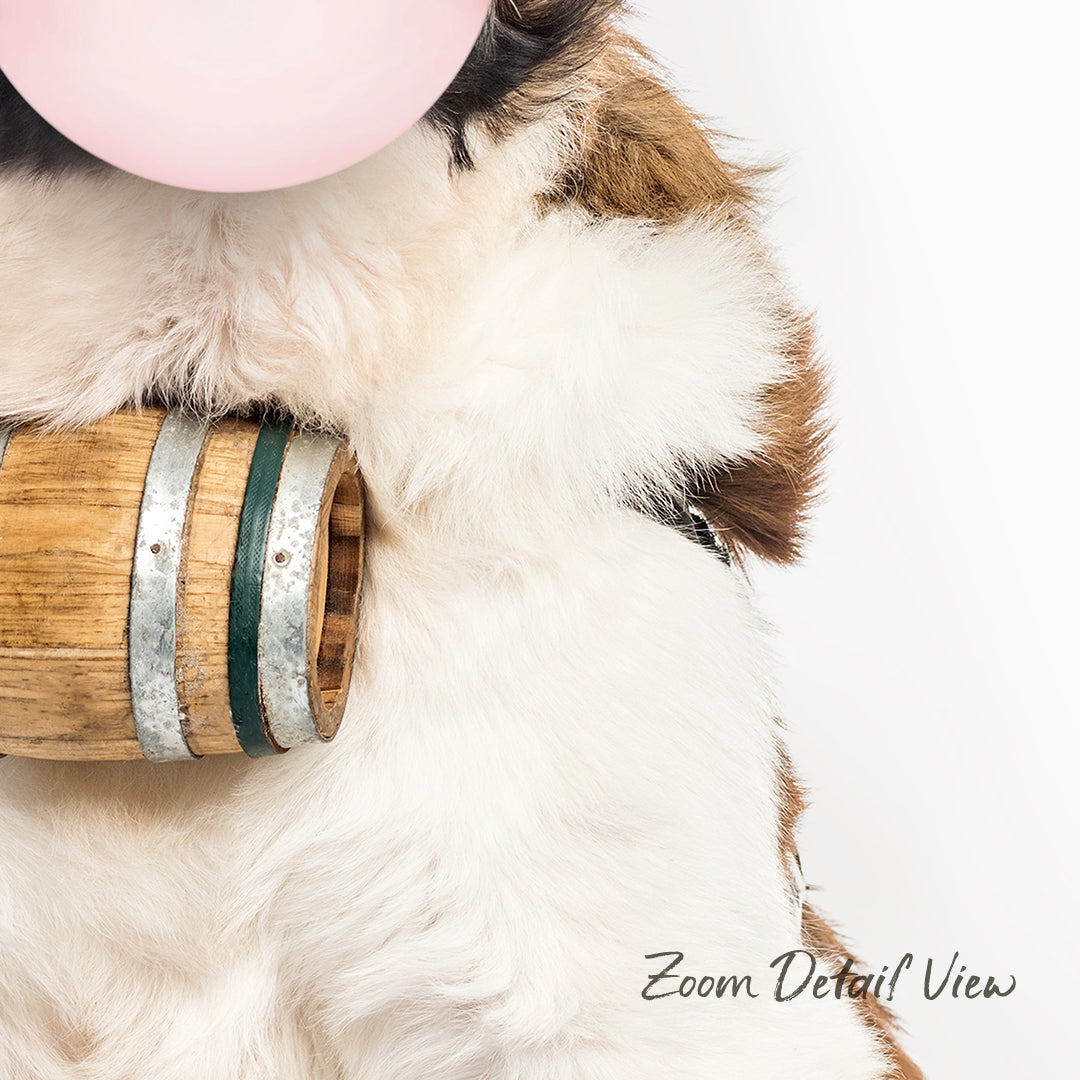A close-up of a fluffy white and brown dog wearing a harness, with a wooden barrel and a pink bubble in the background.