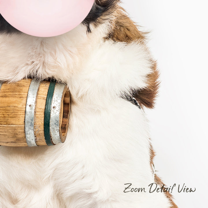 A close-up of a fluffy white and brown dog wearing a harness, with a wooden barrel and a pink bubble in the background.