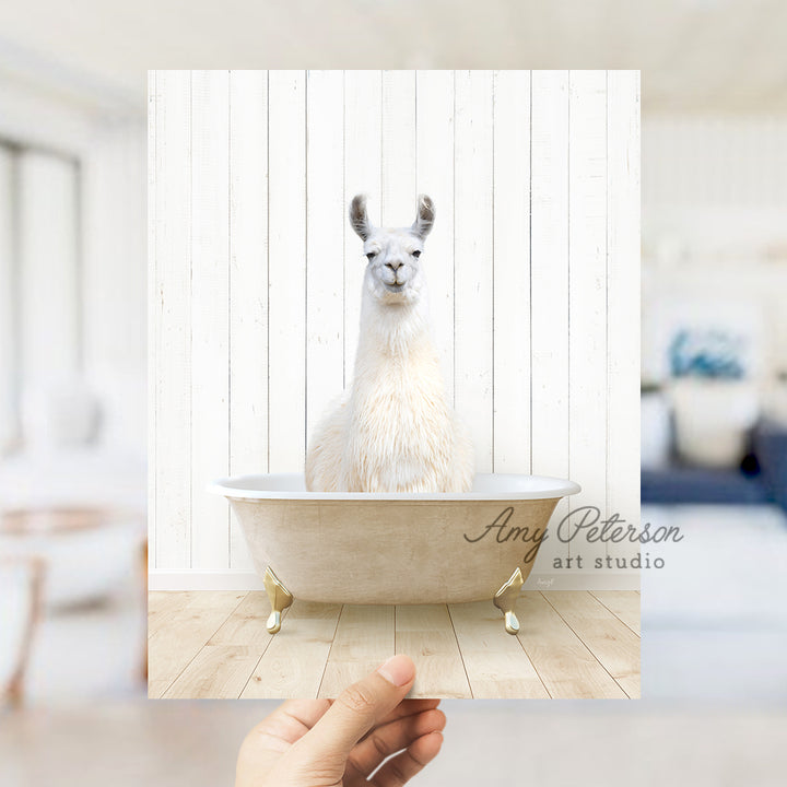 a llama sitting in a bathtub with a hand holding it