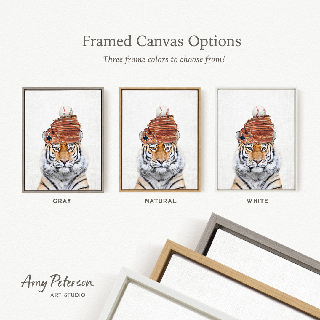 three framed canvas options for a tiger portrait, each with a different frame color: gray, natural, and white.