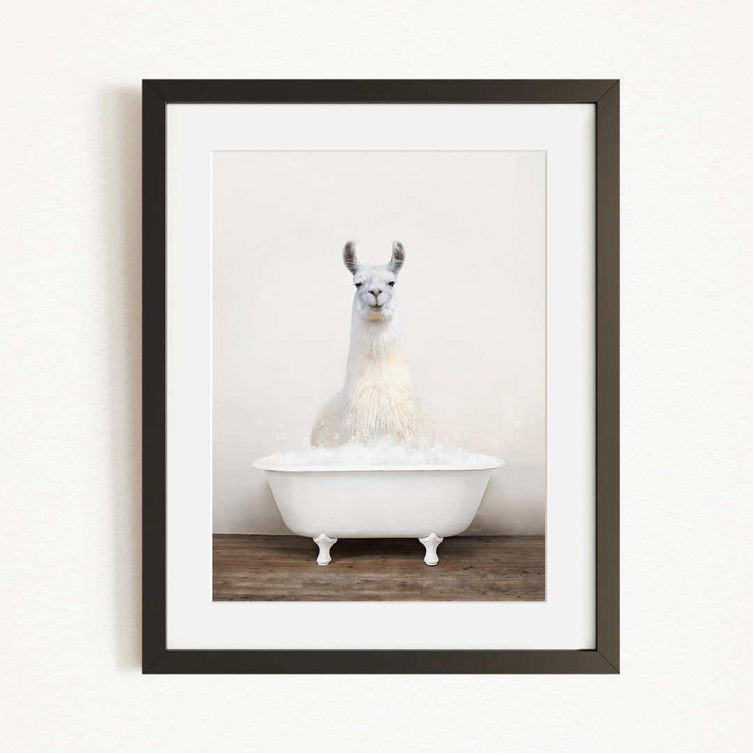 A white llama sitting in a white bathtub filled with bubbles, creating a whimsical and playful scene.