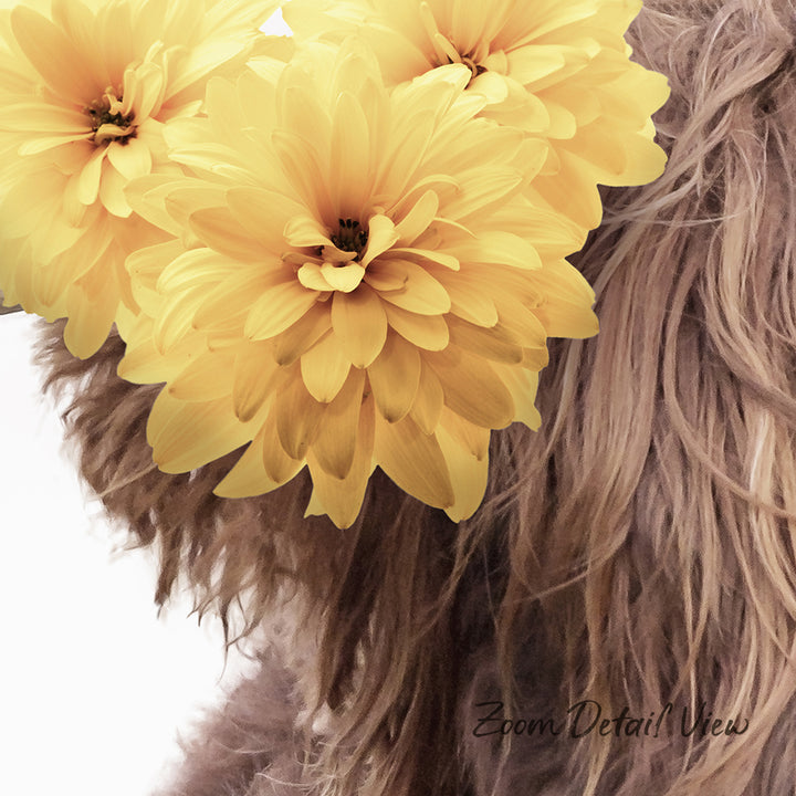 A close-up of a dog's fluffy, brown fur with vibrant yellow dahlia flowers partially obscuring the dog's face.