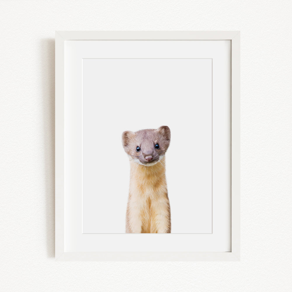 A small, curious-looking animal with a white face and brown fur is the focus of the image, which is framed and displayed on a white wall.