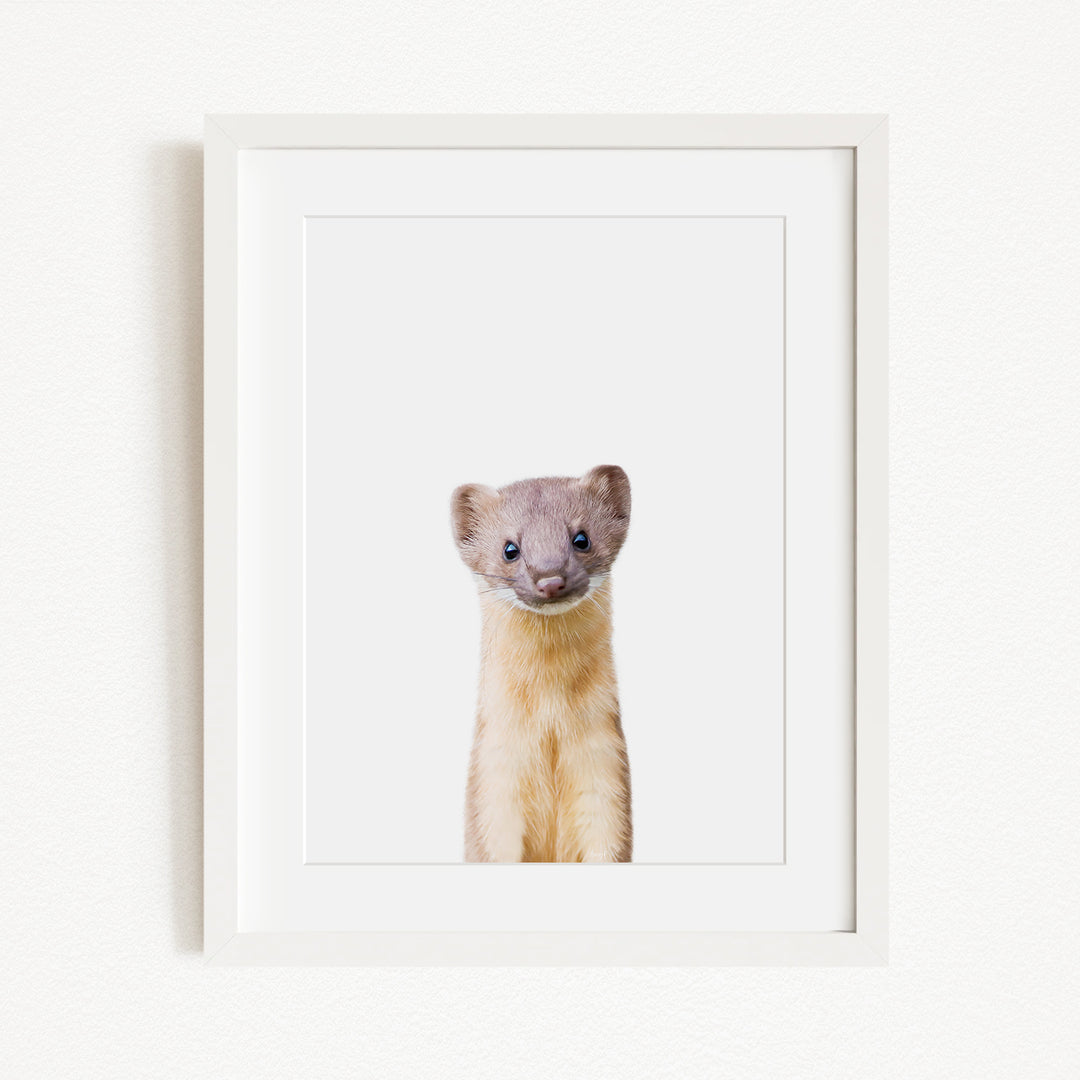 A small, curious-looking animal with a white face and brown fur is the focus of the image, which is framed and displayed on a white wall.