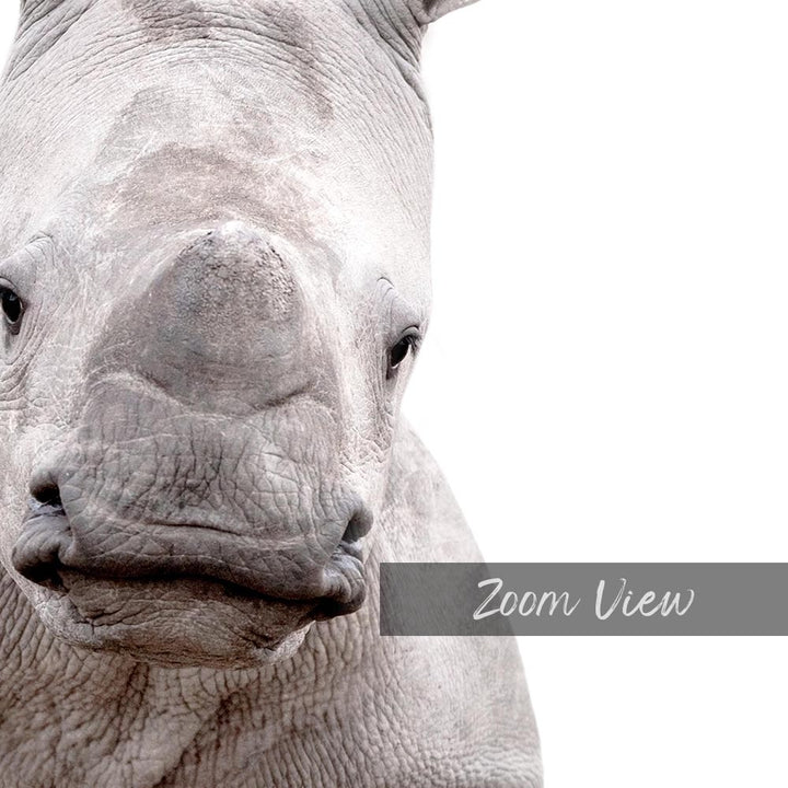 a close up of a rhino's face with a white background