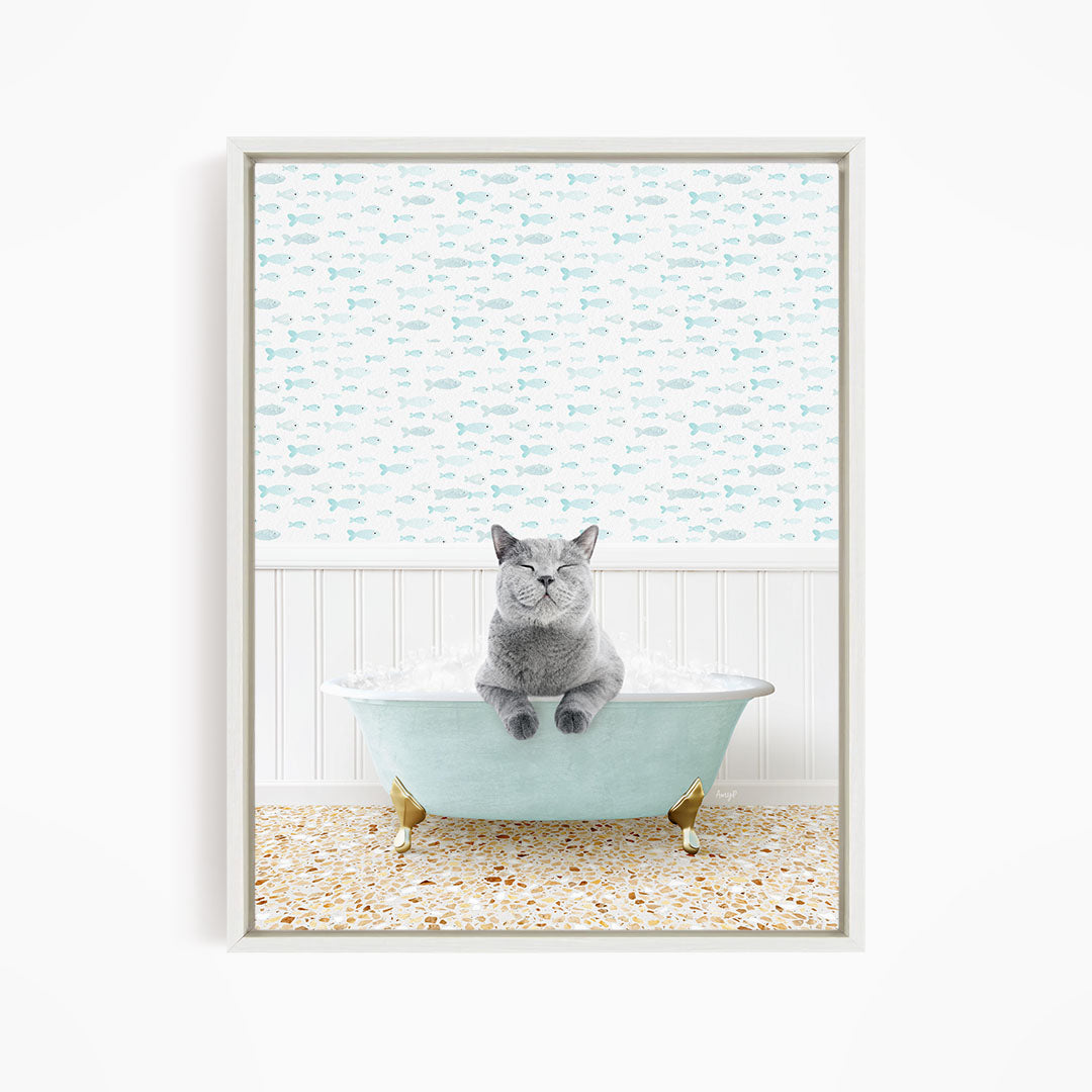 A gray cat sitting in a light blue bathtub filled with bubbles, with a pattern of fish on the wall behind it.