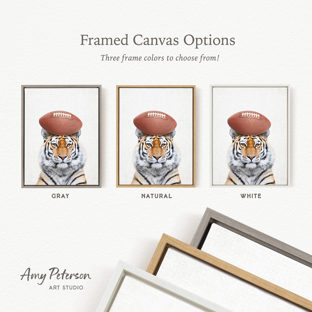 three framed canvas options featuring a tiger wearing a football hat. The options include a gray frame, a natural frame, and a white frame.