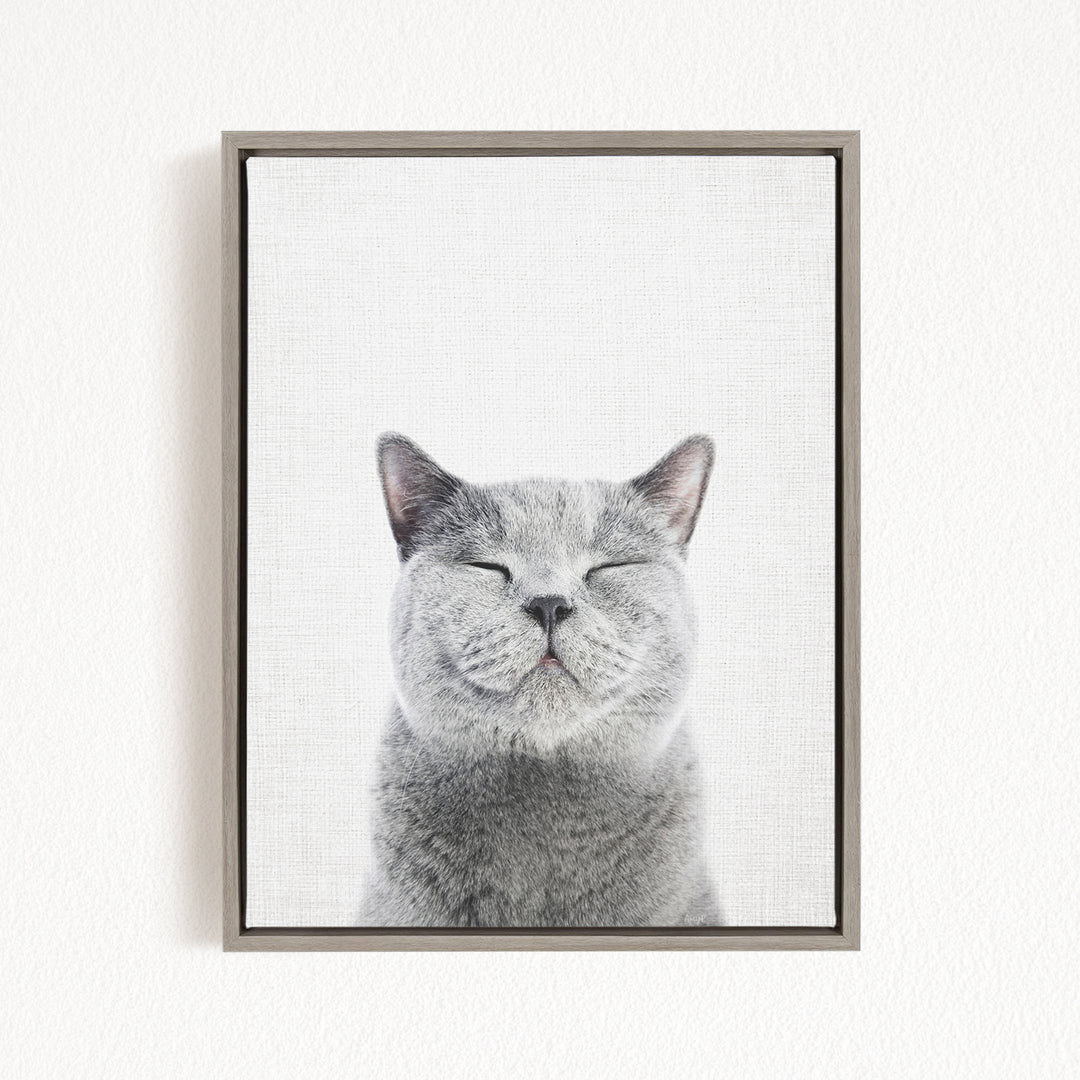 A gray cat with closed eyes and a content expression is the central focus of the framed image.