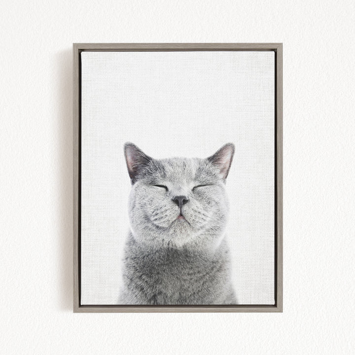 A gray cat with closed eyes and a content expression is the central focus of the framed image.