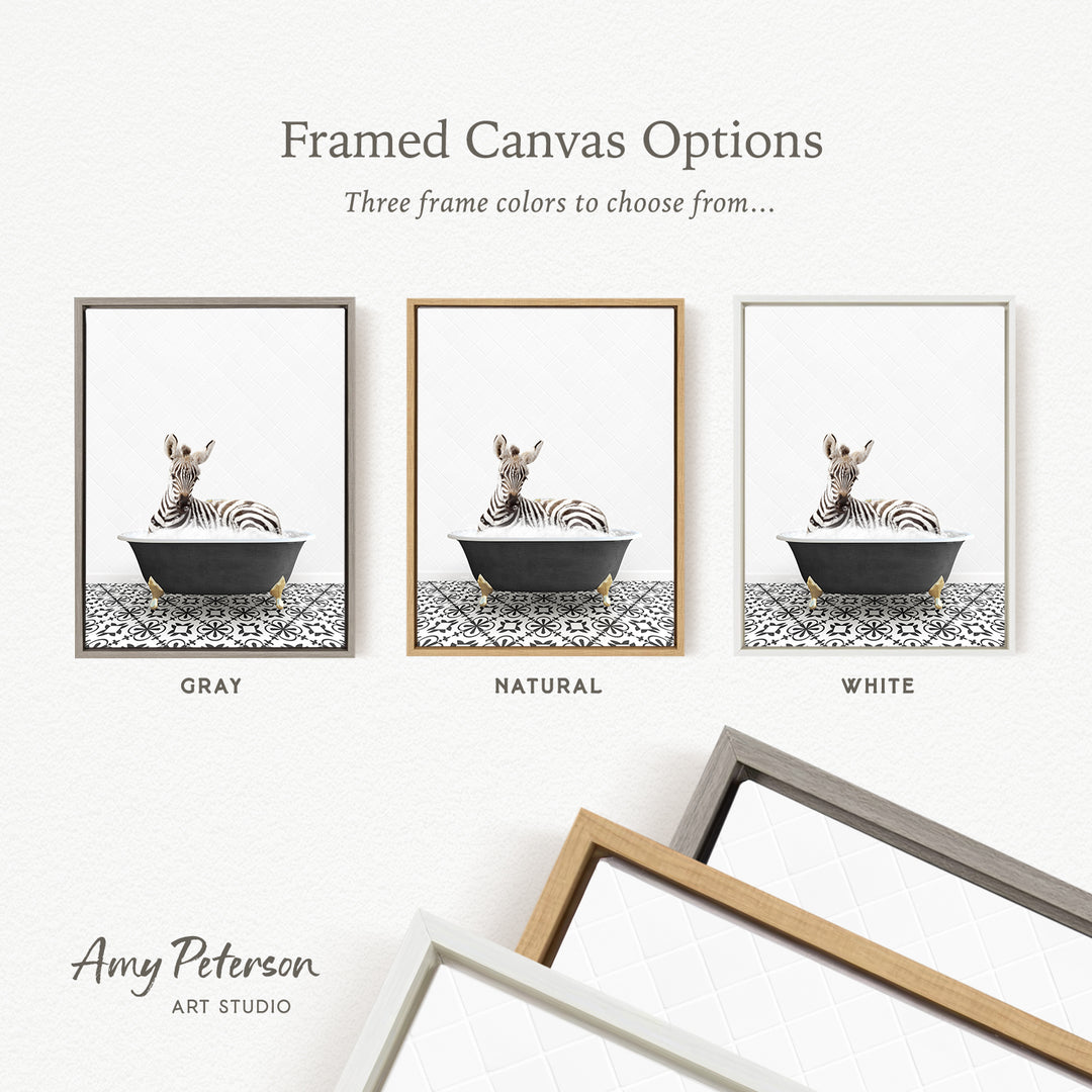 three framed canvas options, each featuring a zebra sitting in a bathtub. The options include a gray frame, a natural frame, and a white frame.