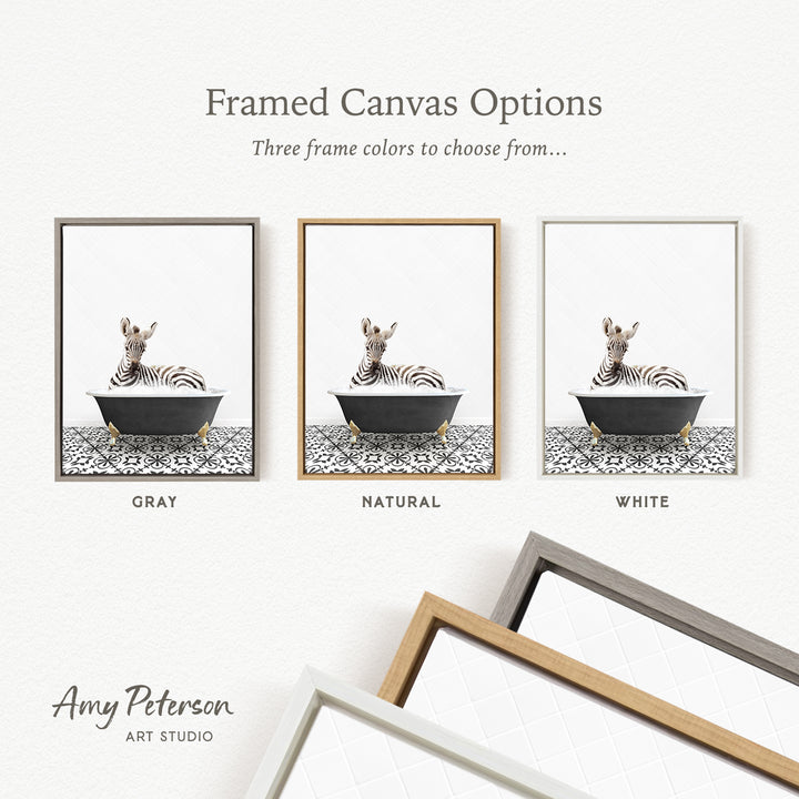 three framed canvas options, each featuring a zebra sitting in a bathtub. The options include a gray frame, a natural frame, and a white frame.