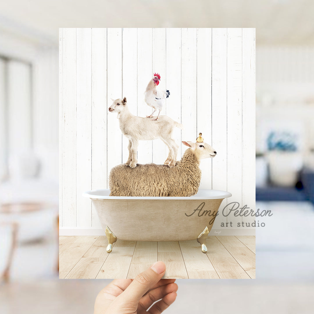 a person holding up a photo of a sheep and a chicken on a bathtub