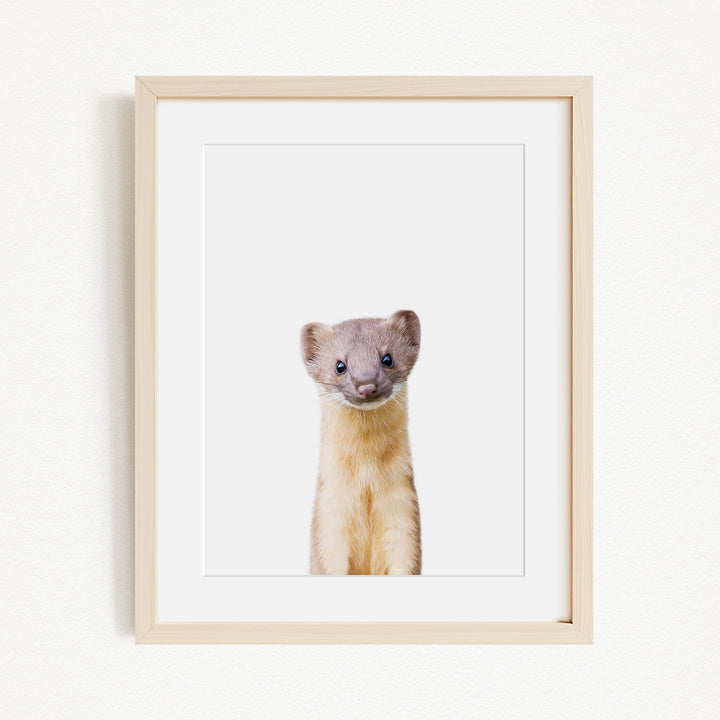 A small, furry animal with a curious expression is the focus of the image, which is framed and displayed on a white wall.