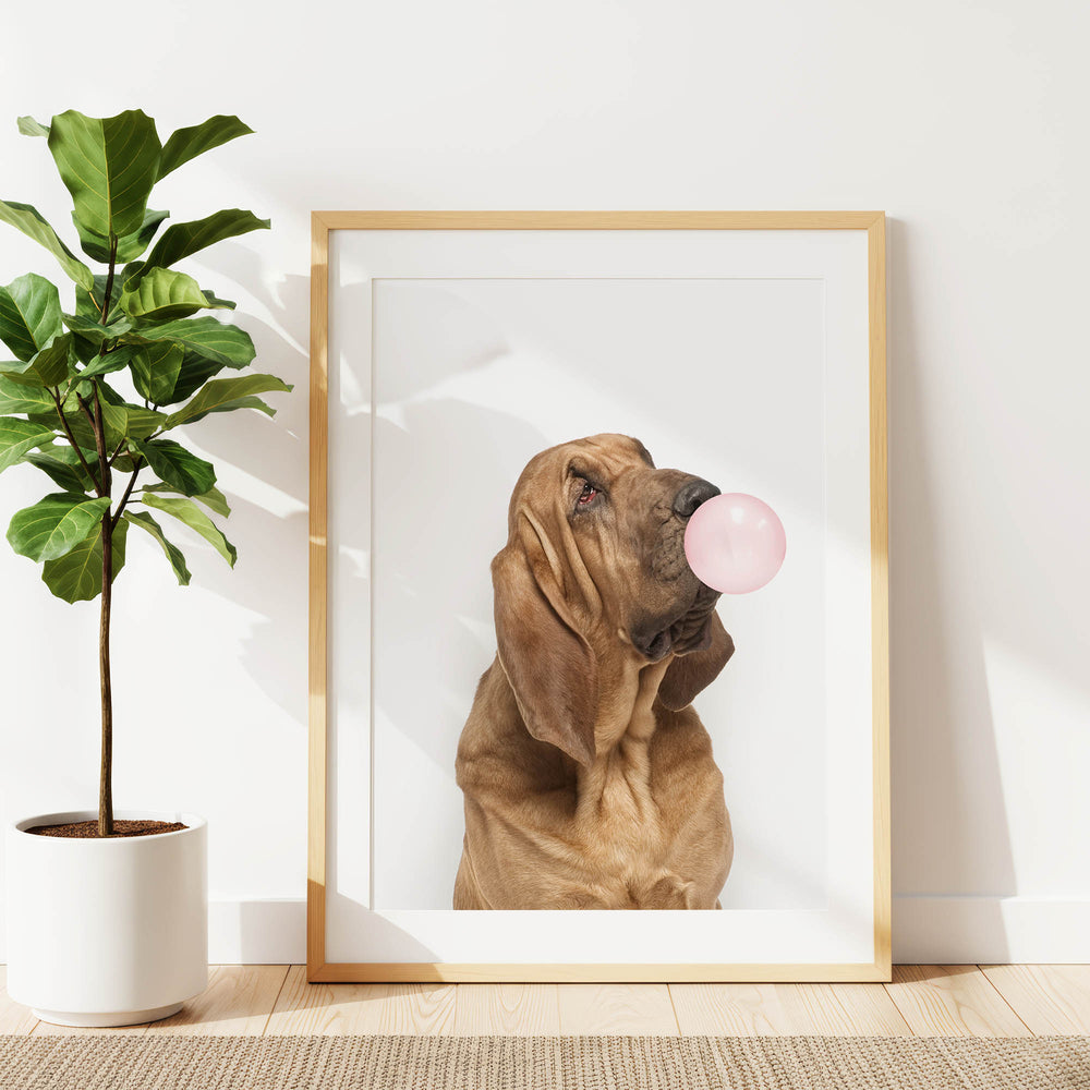A framed photograph of a brown dog blowing a bubble with a pink bubble gum bubble, standing next to a potted plant.