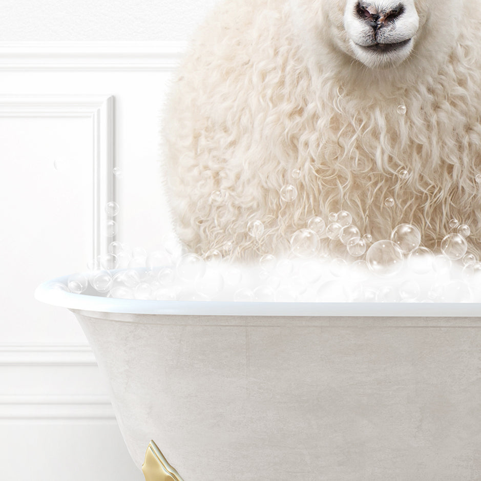 a sheep is sitting in a bathtub with bubbles