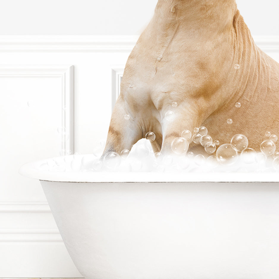 a dog is taking a bath in a bathtub