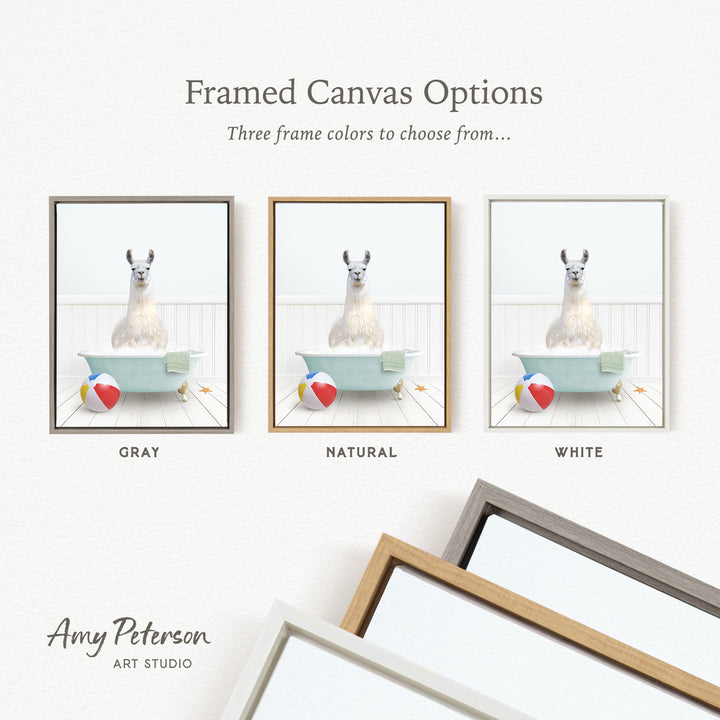 The image is a framed canvas option showcasing three different frame colors: gray, natural, and white. The canvas features a llama sitting in a bathtub with a beach ball and starfish nearby.