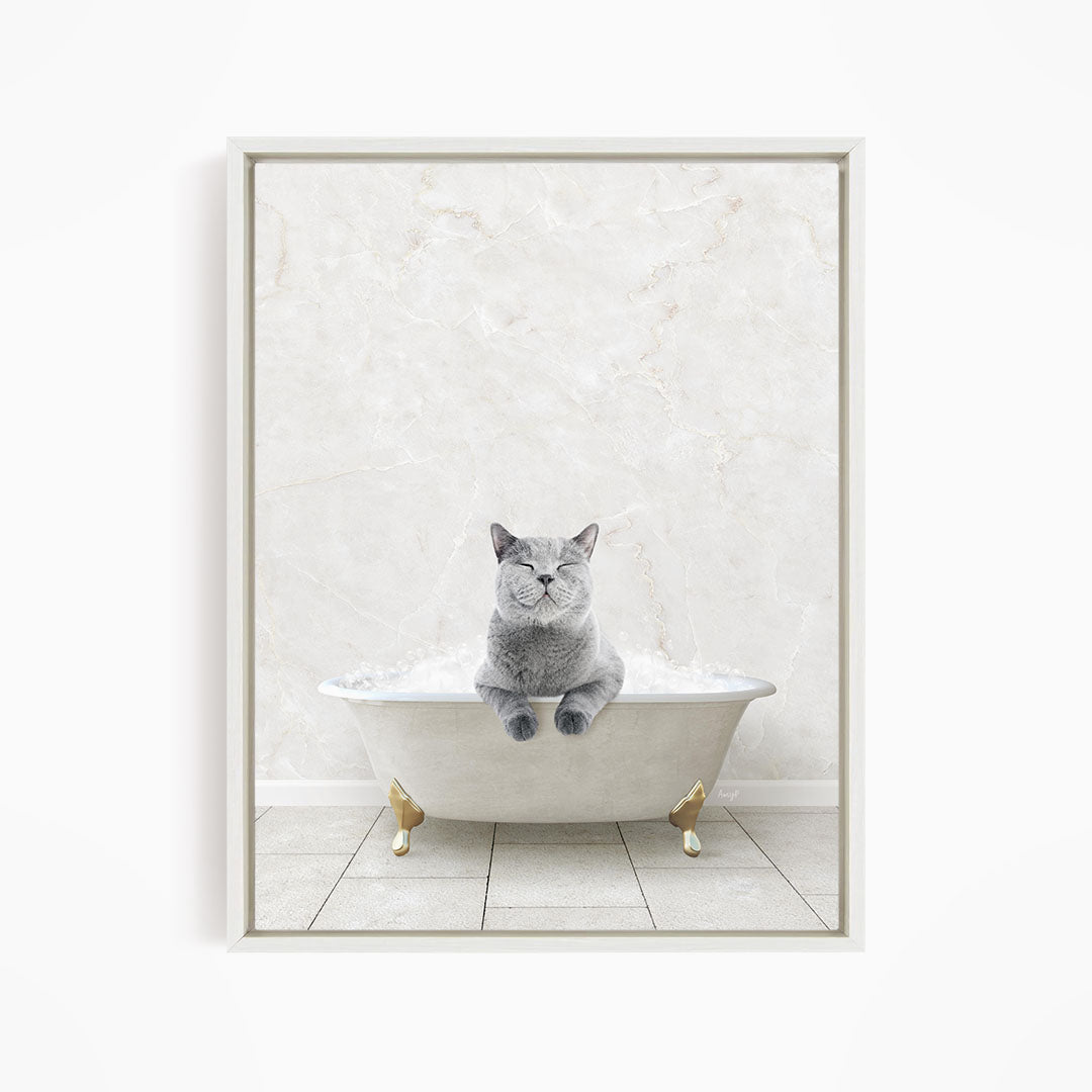 A gray cat sitting in a white bathtub filled with bubbles, looking directly at the camera.