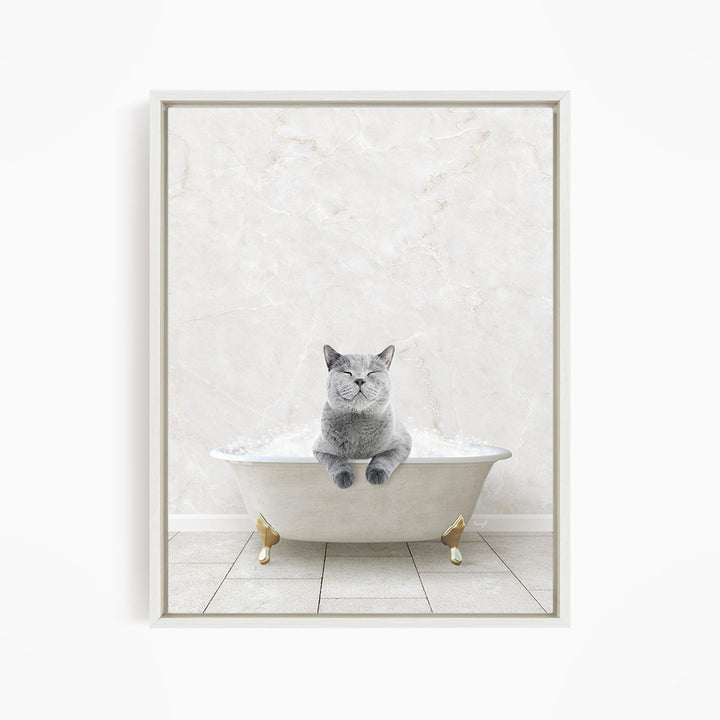 A gray cat sitting in a white bathtub filled with bubbles, looking directly at the camera.