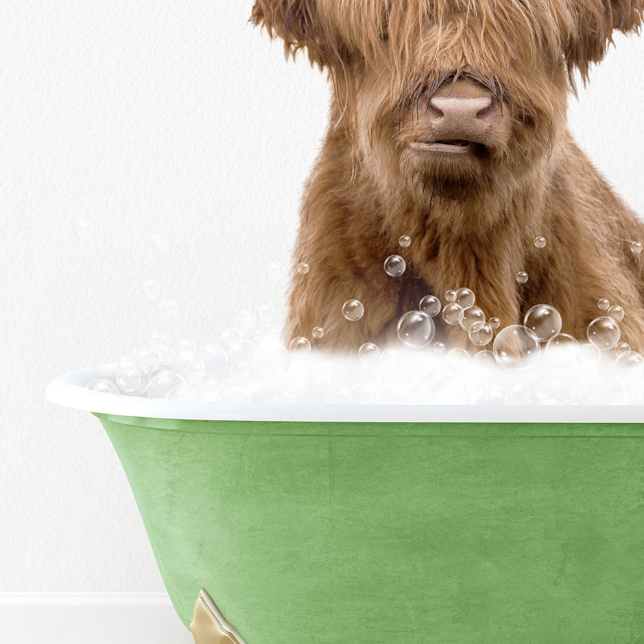 a brown dog sitting in a green bath tub filled with bubbles