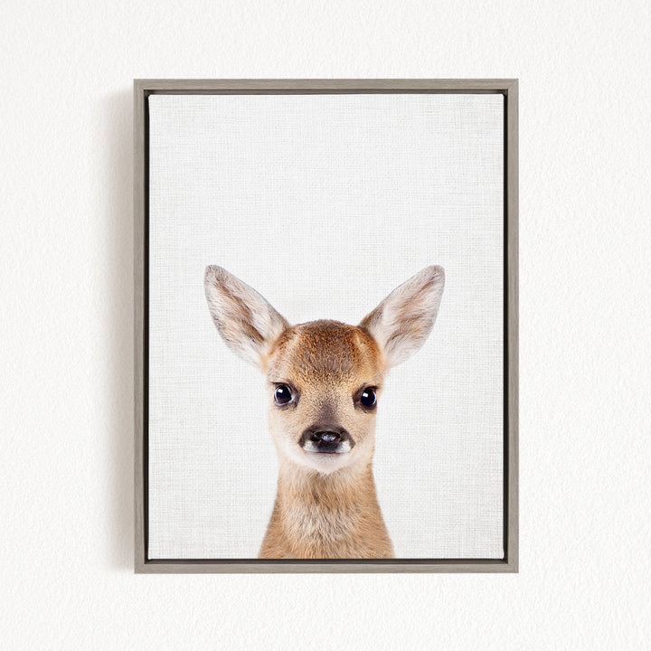 A framed print of a deer's head with large ears and a small nose, looking directly at the camera.