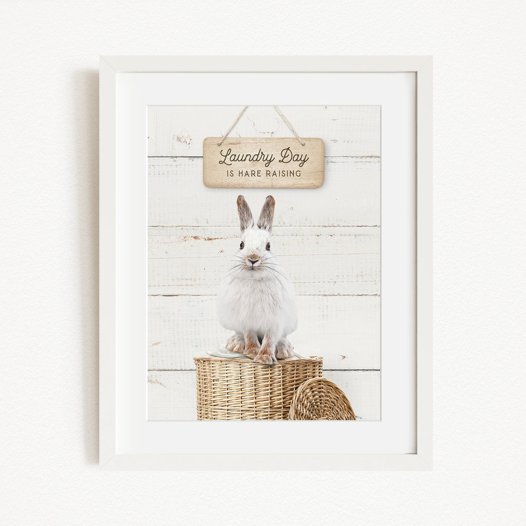 A white rabbit sitting on a wicker basket, with a wooden sign above that says "Laundry Day is here raising".