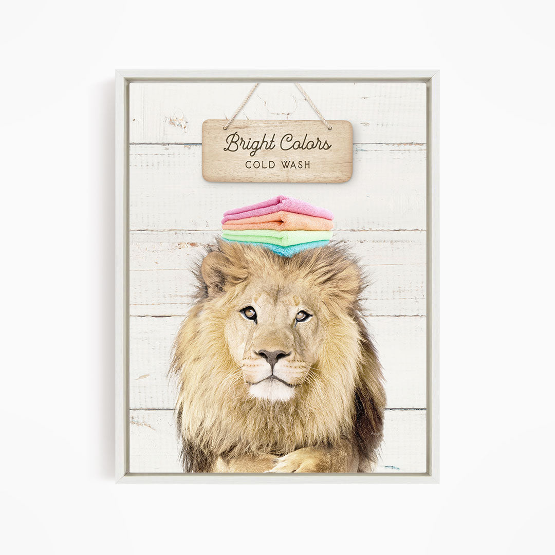 A framed image of a lion with a sign above it that says "Bright Colors Cold Wash".