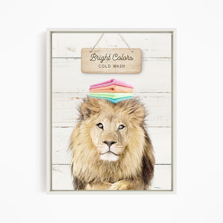 A framed image of a lion with a sign above it that says "Bright Colors Cold Wash".