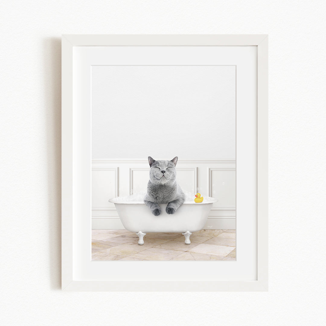 A gray cat sitting in a white bathtub, with a yellow rubber duck floating in the water.