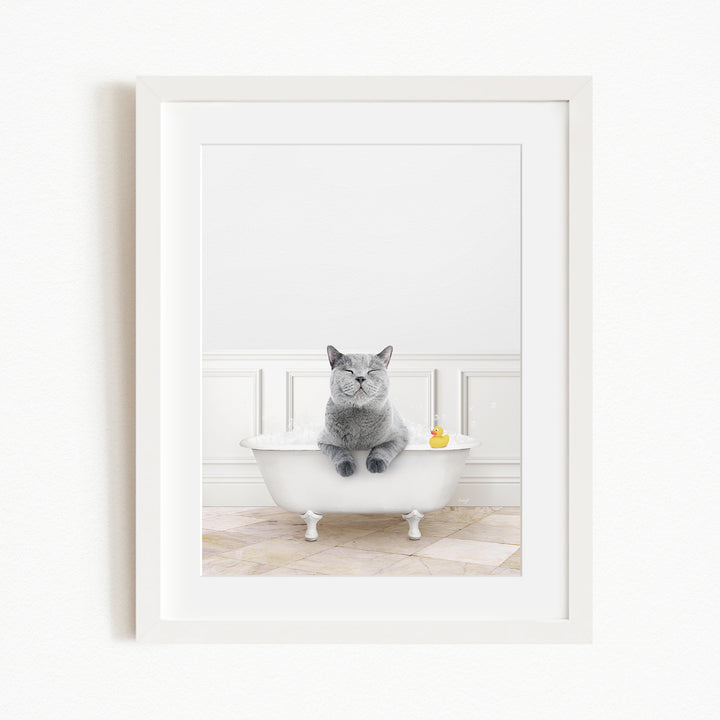 A gray cat sitting in a white bathtub, with a yellow rubber duck floating in the water.