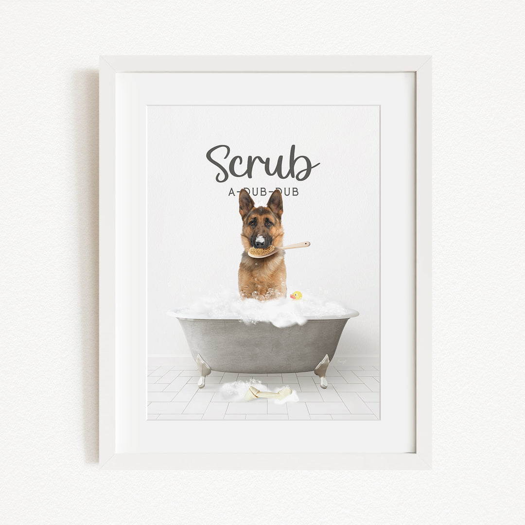 A German Shepherd dog sitting in a bathtub filled with bubbles, with the text "Scrub" above it.