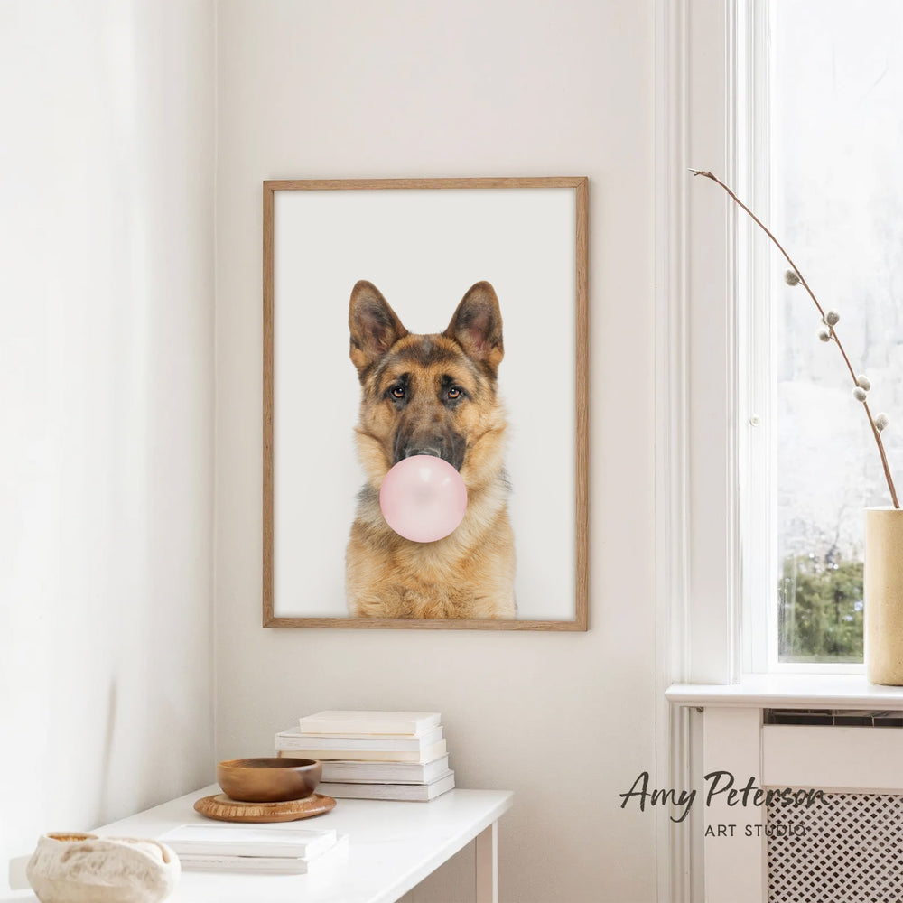 A framed photograph of a German Shepherd dog blowing a bubble with a pink bubble gum bubble wand, hanging on a white wall in a room with a white table and a window.